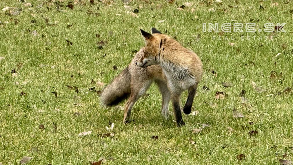 NA PREDAJ CHATA S POZEMKOM PRI VODE ZA DOBRÚ CENU