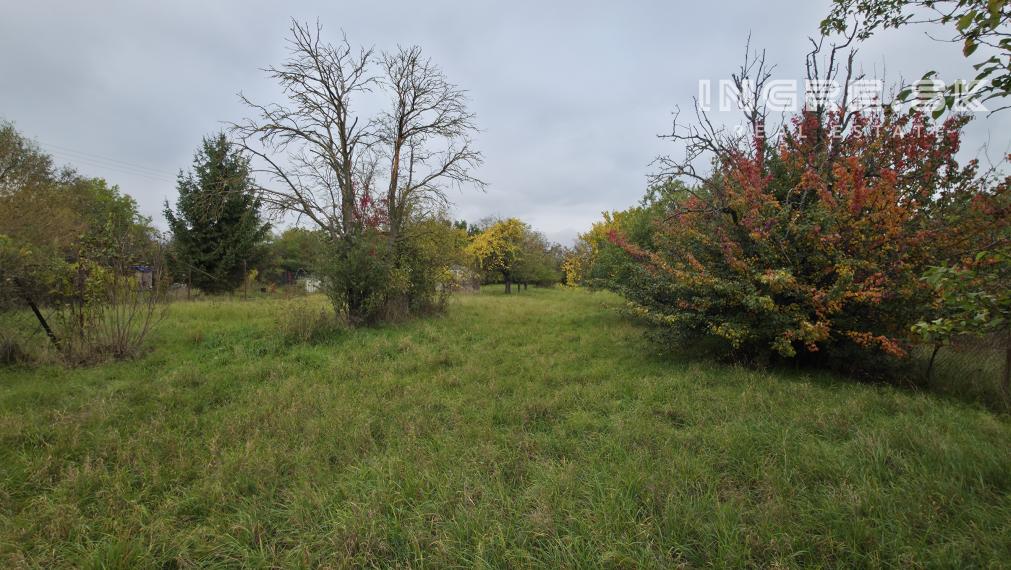 STAVEBNÝ POZEMOK - MOST PRI BRATISLAVE