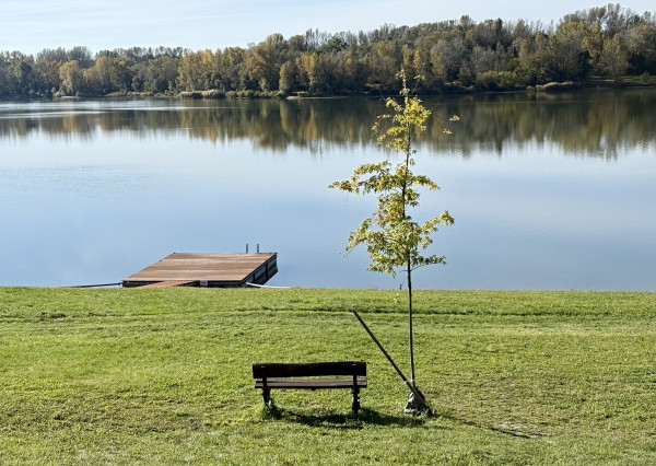 NA PREDAJ CHATA S POZEMKOM PRI VODE ZA DOBRÚ CENU