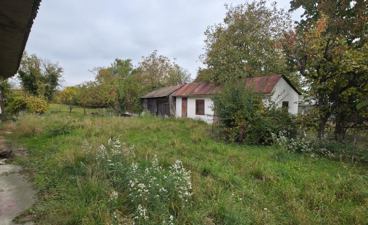 STAVEBNÝ POZEMOK - MOST PRI BRATISLAVE - fotografia 9